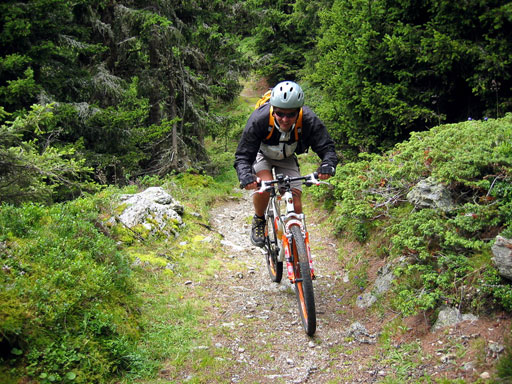 Mountainbike auf einem Waldweg auf der Tromm im Odenwald